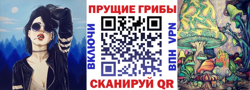 Купить  Сясьстрой  Псилоцибиновые грибы мицелий 